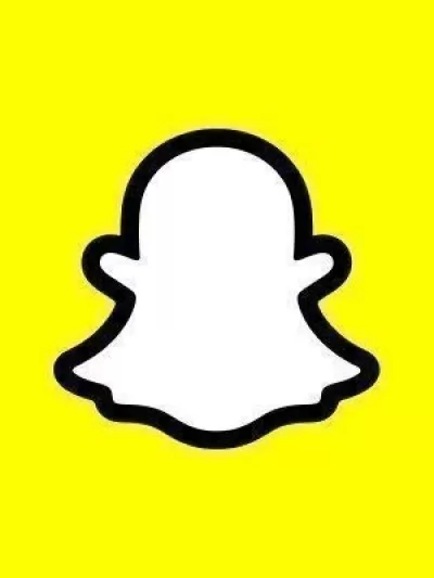 SNAP - SNP2317